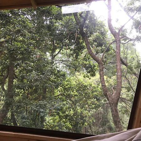 Cabanas Bosques De Loncotraro Hotel Villarrica Buitenkant foto