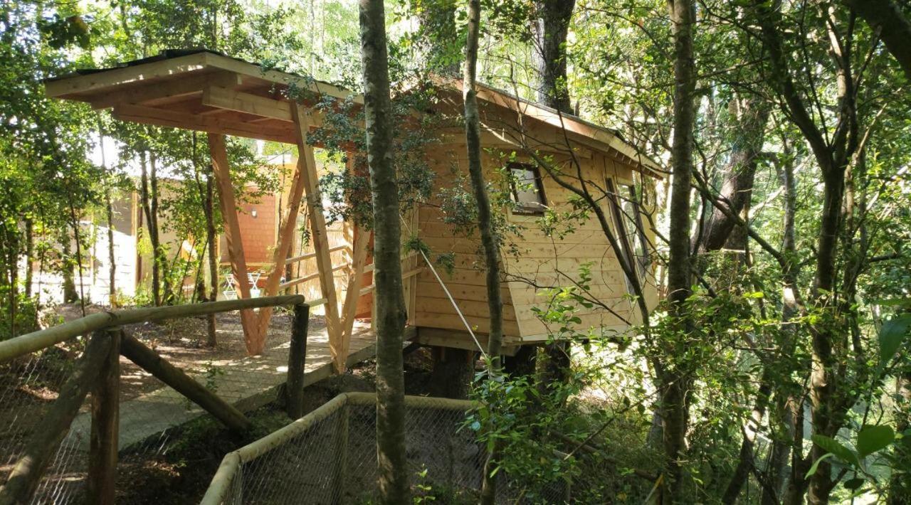 Cabanas Bosques De Loncotraro Hotel Villarrica Buitenkant foto