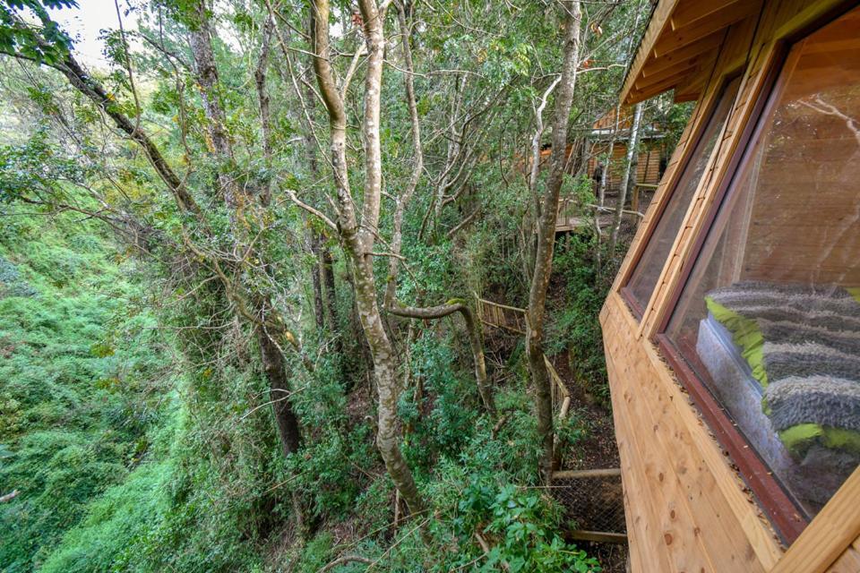 Cabanas Bosques De Loncotraro Hotel Villarrica Buitenkant foto